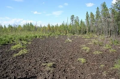 Як правильно зробити солонец популярне зброю