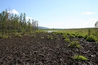 Як правильно зробити солонец популярне зброю