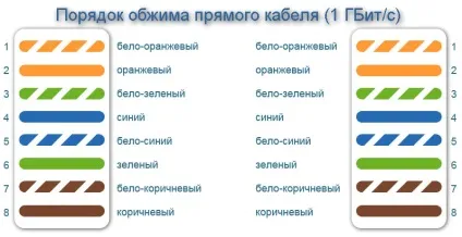 Як правильно обжати виту пару (правильно) Як правильно обжати виту пару