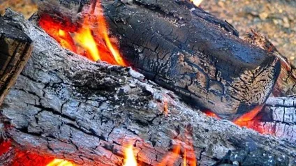 Як правильно підживлювати рослини золою (вносять склянки золи) Як правильно підживлювати рослини золою