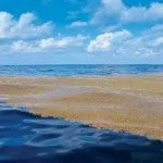 14 Цікавих фактів про карибському морі (цікавих) 14 Цікавих фактів про карибському морі