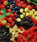 10 Правил продовження молодості - молодість, краса, старіння, здоров'я (здоров'я) 10 Правил продовження молодості - молодість, краса, старіння, здоров'я
