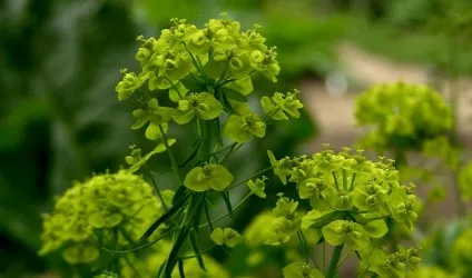 15 загальновідомих фактів, які насправді є повною нісенітницею
