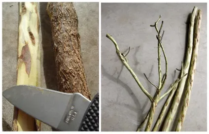 5 Diy власників для прикрас - своїми руками (власників) 5 Diy власників для прикрас - своїми руками