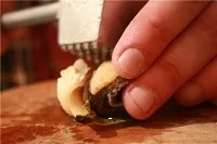 Як приготувати рапани прості і смачні рецепти (рапани) Як приготувати рапани прості і смачні рецепти
