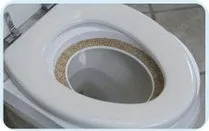 Як привчити кішку до унітазу