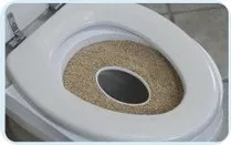 Як привчити кішку до унітазу