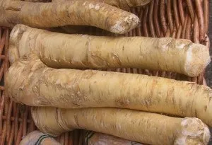 Як приготувати хрін в домашніх умовах 5 рецептів - класичний, хренодер, з буряком і інші (приготувати) Як приготувати хрін в домашніх умовах 5 рецептів - класичний, хренодер, з буряком і інші