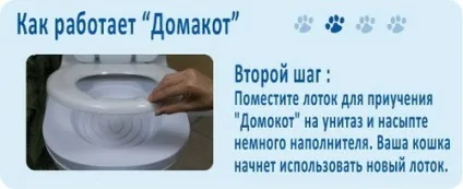 Як привчити кішку до унітазу