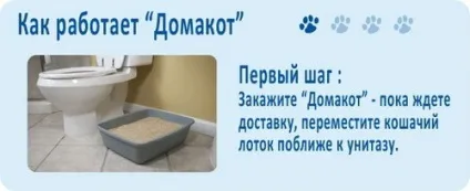 Як привчити кішку до унітазу
