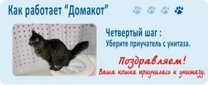 Як привчити кішку до унітазу