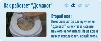 Як привчити кішку до унітазу