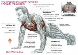 7 Кращих вправ для тренування в домашніх умовах, перший в співдружність незалежних держав проект про якісні (умовах) 7 Кращих вправ для тренування в домашніх умовах, перший в співдружність незалежних держав проект про якісні