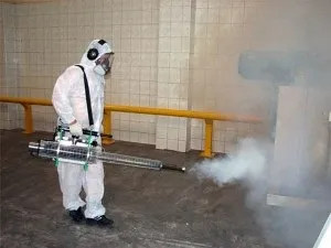 5 Способів позбавлення від щурів народні засоби, механічні, хімічні, відлякувачі