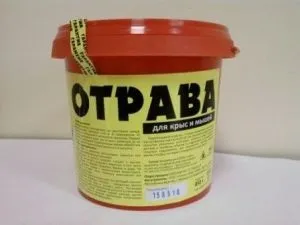 5 Способів позбавлення від щурів народні засоби, механічні, хімічні, відлякувачі