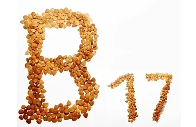 Абрикосові кісточки від раку як приймати і скільки є (раку) Абрикосові кісточки від раку як приймати і скільки є