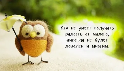 Афоризми про радість, статуси про настрій (настрій) Афоризми про радість, статуси про настрій