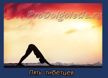 5 Тібетцев- опис вправ, східна медицина, омолодження і довголіття (опис) 5 Тібетцев- опис вправ, східна медицина, омолодження і довголіття