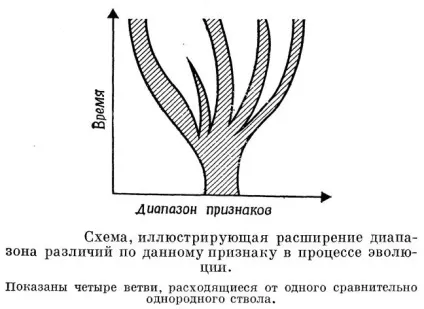 Адаптивна радіація - біологія
