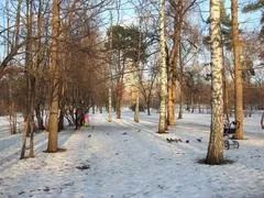 Андрій швидко все тексти, партія 5 грудня (швидкої) Андрій швидко все тексти, партія 5 грудня