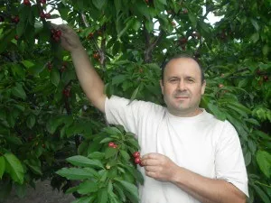 А на вулиці літо! Черешневий сезон, як створити затишок в домі своїми руками