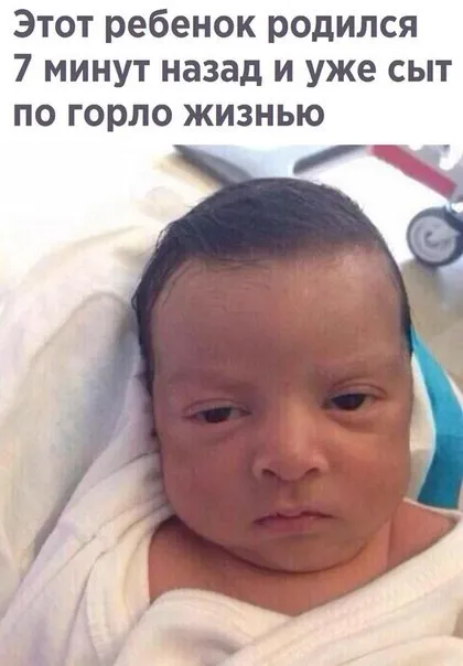 Анекдоти про кухаря кухар