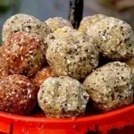 Ароматизатори для лову риби, активатори, діпи, природні відеорибалка, мобільна версія (риби) Ароматизатори для лову риби, активатори, діпи, природні відеорибалка, мобільна версія