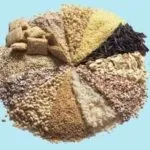 Ароматизатори для лову риби, активатори, діпи, природні відеорибалка, мобільна версія (лову) Ароматизатори для лову риби, активатори, діпи, природні відеорибалка, мобільна версія