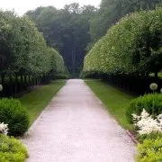 Астильба в дизайні присадибної ділянки красивий екстер'єр клумби на фото (присадибної) Астильба в дизайні присадибної ділянки красивий екстер'єр клумби на фото