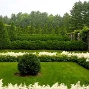 Астильба в дизайні присадибної ділянки красивий екстер'єр клумби на фото (астільба) Астильба в дизайні присадибної ділянки красивий екстер'єр клумби на фото