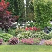 Астильба в дизайні присадибної ділянки красивий екстер'єр клумби на фото (астільба в дизайні присадибної ділянки) Астильба в дизайні присадибної ділянки красивий екстер'єр клумби на фото