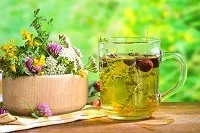 Атопічна екзема причини і методи лікування (методи) Атопічна екзема причини і методи лікування