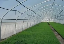 Арочна теплиця з полікарбонату і профільної труби, креслення даху з кватиркою, посилена своїми (труби) Арочна теплиця з полікарбонату і профільної труби, креслення даху з кватиркою, посилена своїми
