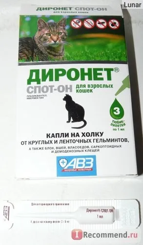 Антигельмінтики АВЗ діронет спот-он для дорослих кішок - «глистогонное на холку або як вигнати (кішок) Антигельмінтики АВЗ діронет спот-он для дорослих кішок - «глистогонное на холку або як вигнати