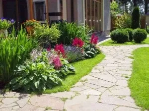 Астильби в дизайні саду фото і особливості формування квітників (фото) Астильби в дизайні саду фото і особливості формування квітників