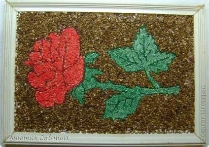Аплікації з гречки як робити фото (гречки) Аплікації з гречки як робити фото