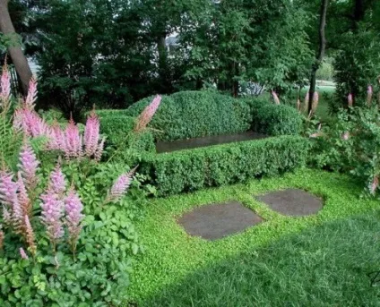 Астильба в дизайні присадибної ділянки красивий екстер'єр клумби на фото (астільба в дизайні присадибної ділянки) Астильба в дизайні присадибної ділянки красивий екстер'єр клумби на фото