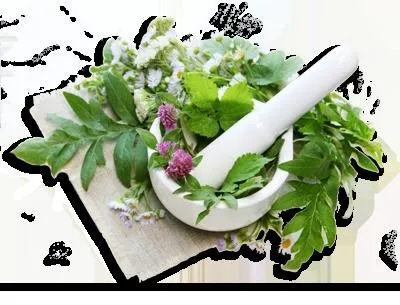 Бальзам корінь відгуки, ціни