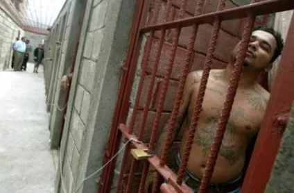 Банда ms 13 фото (la mara salvatrucha 13) (банда ms 13) Банда ms 13 фото (la mara salvatrucha 13)