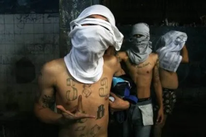 Банда ms 13 фото (la mara salvatrucha 13) (банда ms 13) Банда ms 13 фото (la mara salvatrucha 13)