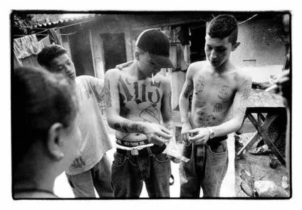 Банда ms 13 фото (la mara salvatrucha 13) (ms 13 фото) Банда ms 13 фото (la mara salvatrucha 13)
