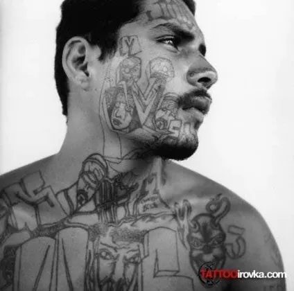 Банда ms 13 фото (la mara salvatrucha 13) (сальвадорські бродячі мурахи) Банда ms 13 фото (la mara salvatrucha 13)