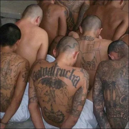 Банда ms 13 фото (la mara salvatrucha 13) (ms 13 фото) Банда ms 13 фото (la mara salvatrucha 13)