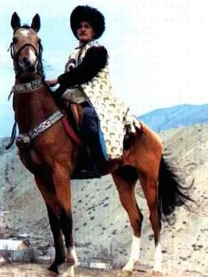 бойові коні