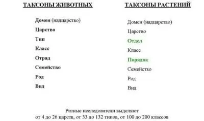 біологічна систематика