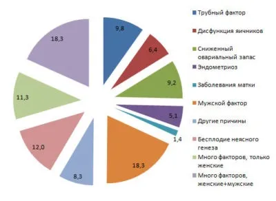 Безпліддя після аборту чому не можуть завагітніти, причини і яка ймовірність, а також (аборт і безпліддя) Безпліддя після аборту чому не можуть завагітніти, причини і яка ймовірність, а також