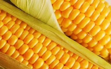 Бізнес-ідея з мінімальним вкладенням масаж на дому і з виїздом - бізнес журнал (масажу 10-15 ціна рублів) Бізнес-ідея з мінімальним вкладенням масаж на дому і з виїздом - бізнес журнал