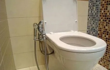 Біде приставка основні моделі, принцип роботи і установка (основні) Біде приставка основні моделі, принцип роботи і установка