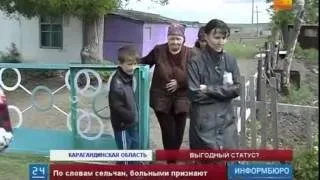 Бруцельоз у корів опис, симптоми і лікування (корів) Бруцельоз у корів опис, симптоми і лікування