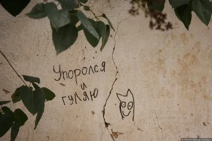 Боровськ або як ми до такого життя докотилися (новгородська область) Боровськ або як ми до такого життя докотилися